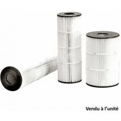 Cartouche Filtrante De Rechange Pour Filtre C0250euro - Cx0250re - Hayward